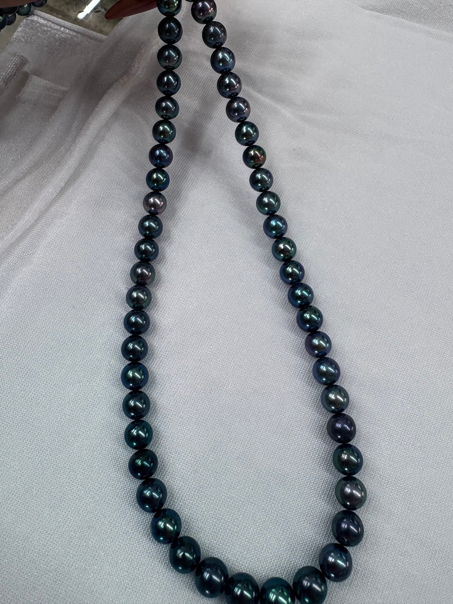 Seawater Akoya Pearl Necklace