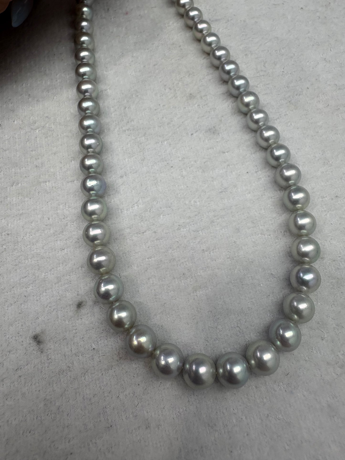Seawater Akoya Pearl Necklace