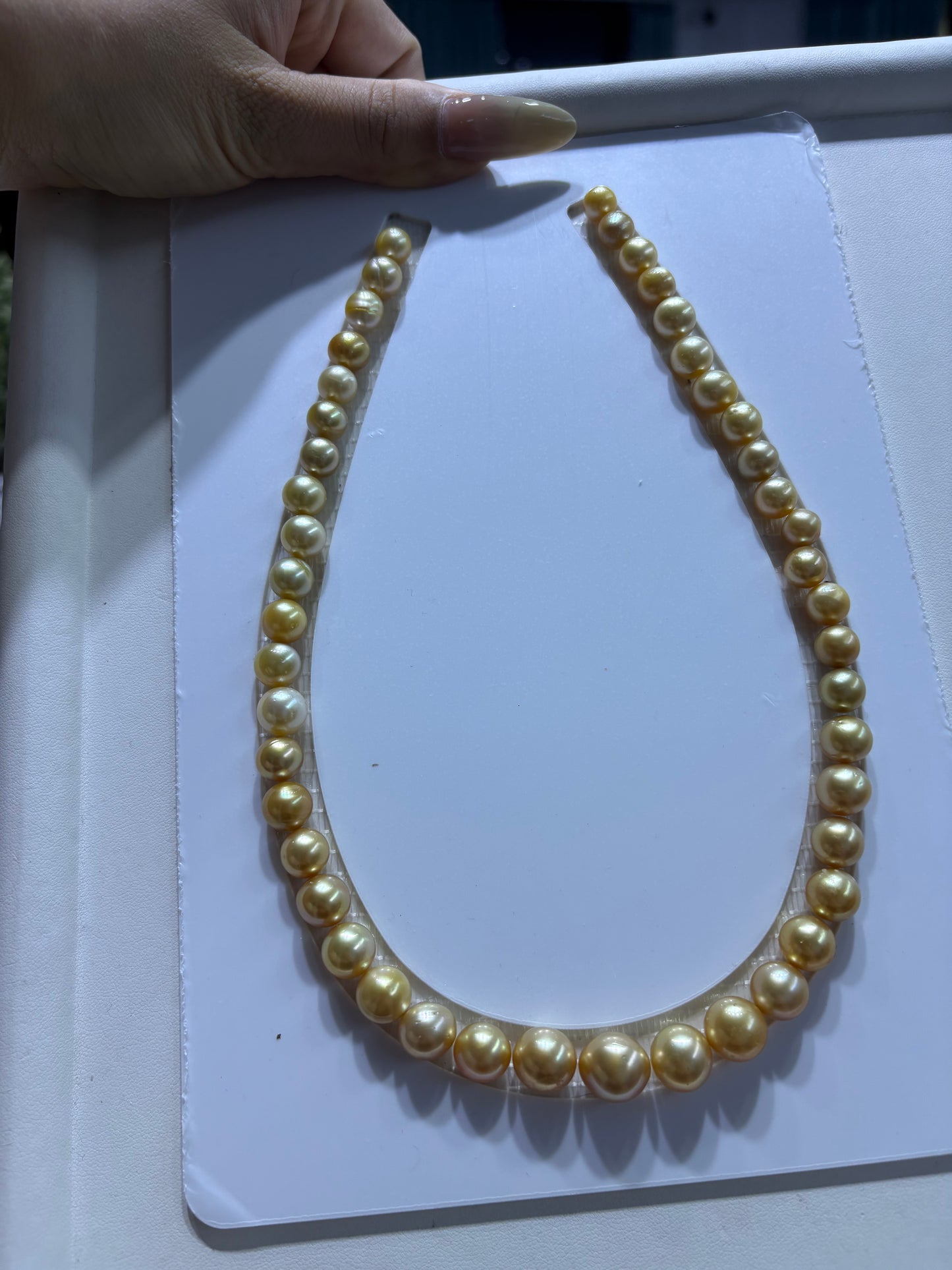 South sea gold full strand necklace