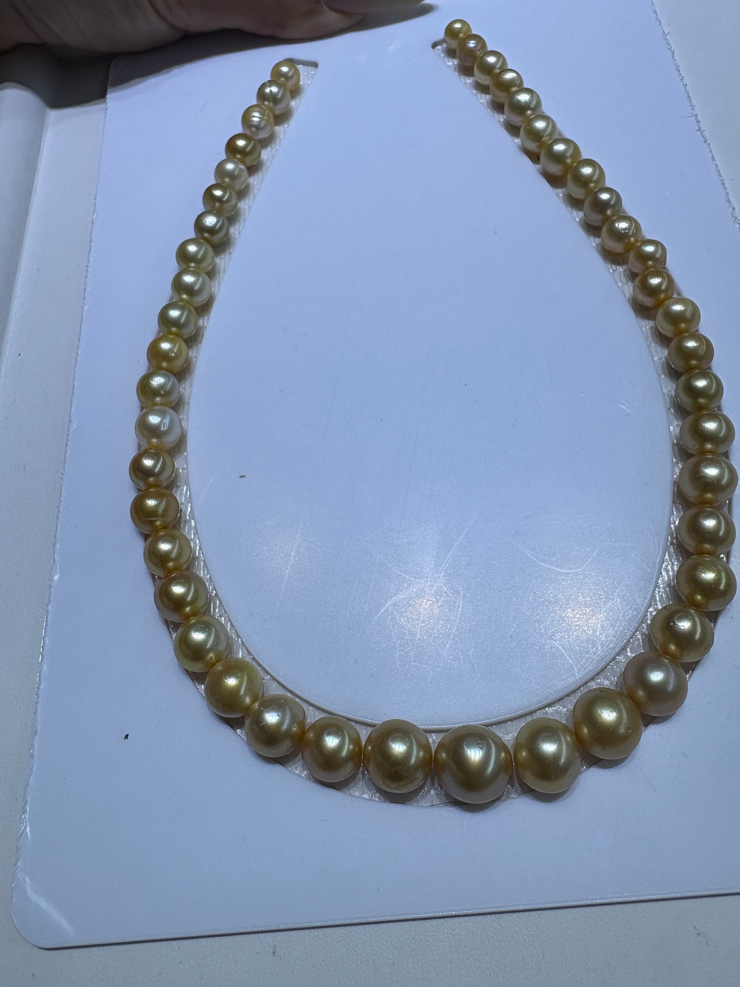 South sea gold full strand necklace